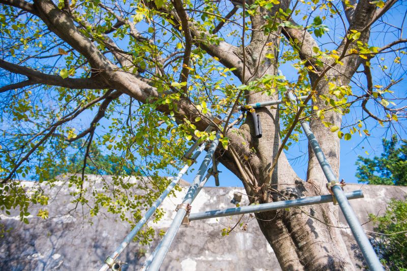 Temporary Bracing and Support